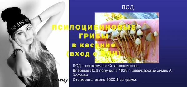 твердый Переславль-Залесский