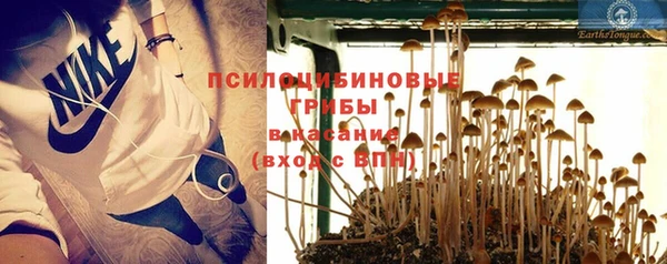 не бодяженный Пересвет