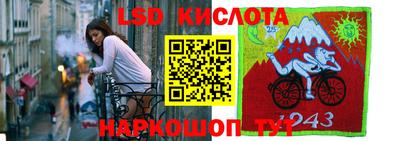 метадон Гай