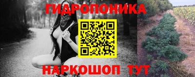 эйфоретик Гатчина
