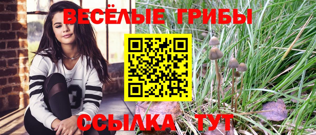 Советский  где купить наркоту  Псилоцибиновые грибы Psilocybe  Вход с VPN  Галлюциногенные грибы Psilocybe 
