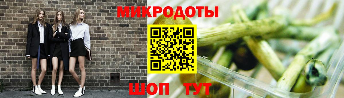 Галлюциногенные грибы Psilocybine cubensis  Советский  Галлюциногенные грибы мухоморы 